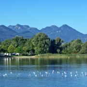 Camping in Deutschland: Wo gibt es die schönsten Campingplätze in Deutschland?