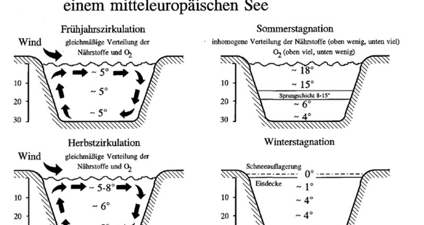 DWD Eisdecke betreten. Wie entscheiden ob es gefahrlos ist