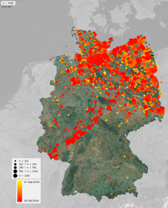 DWD Hochsaison des Vogelzuges