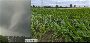 DWD Bilanz der Tornadosaison in Deutschland 2024