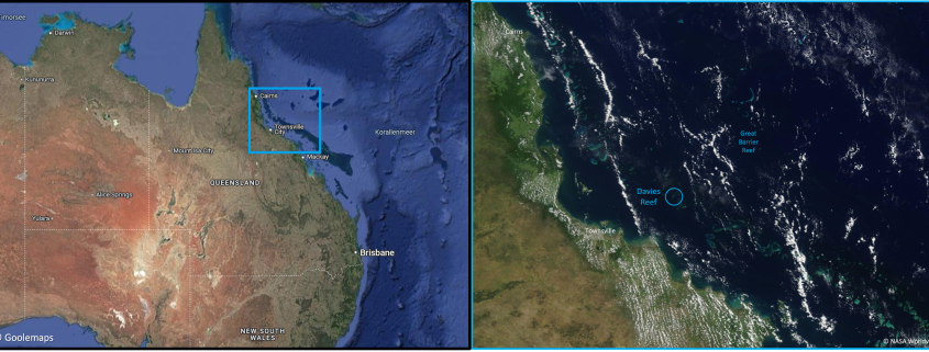 DWD Massenbleiche am Great Barrier Reef wird stark von lokalen Wetterbedingungen beeinflusst